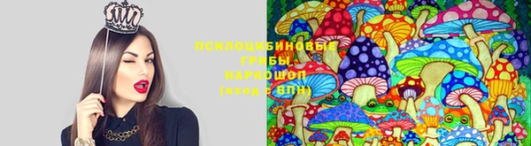 гидра Красноперекопск