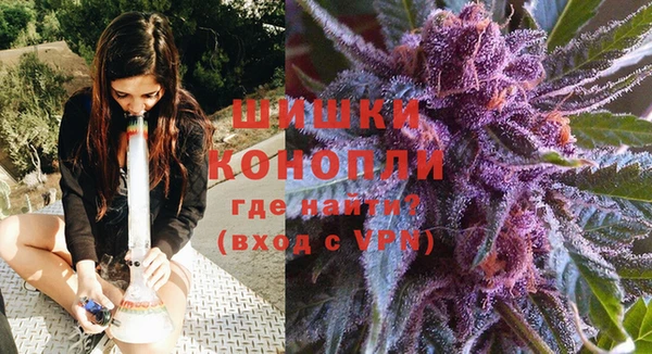 стафф Корсаков