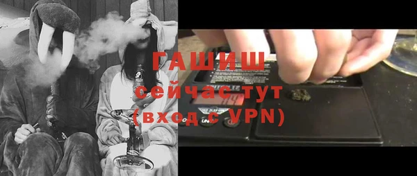 стафф Корсаков