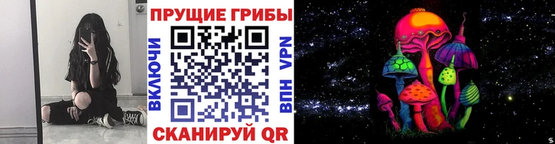 Псилоцибиновые грибы прущие грибы  Называевск 